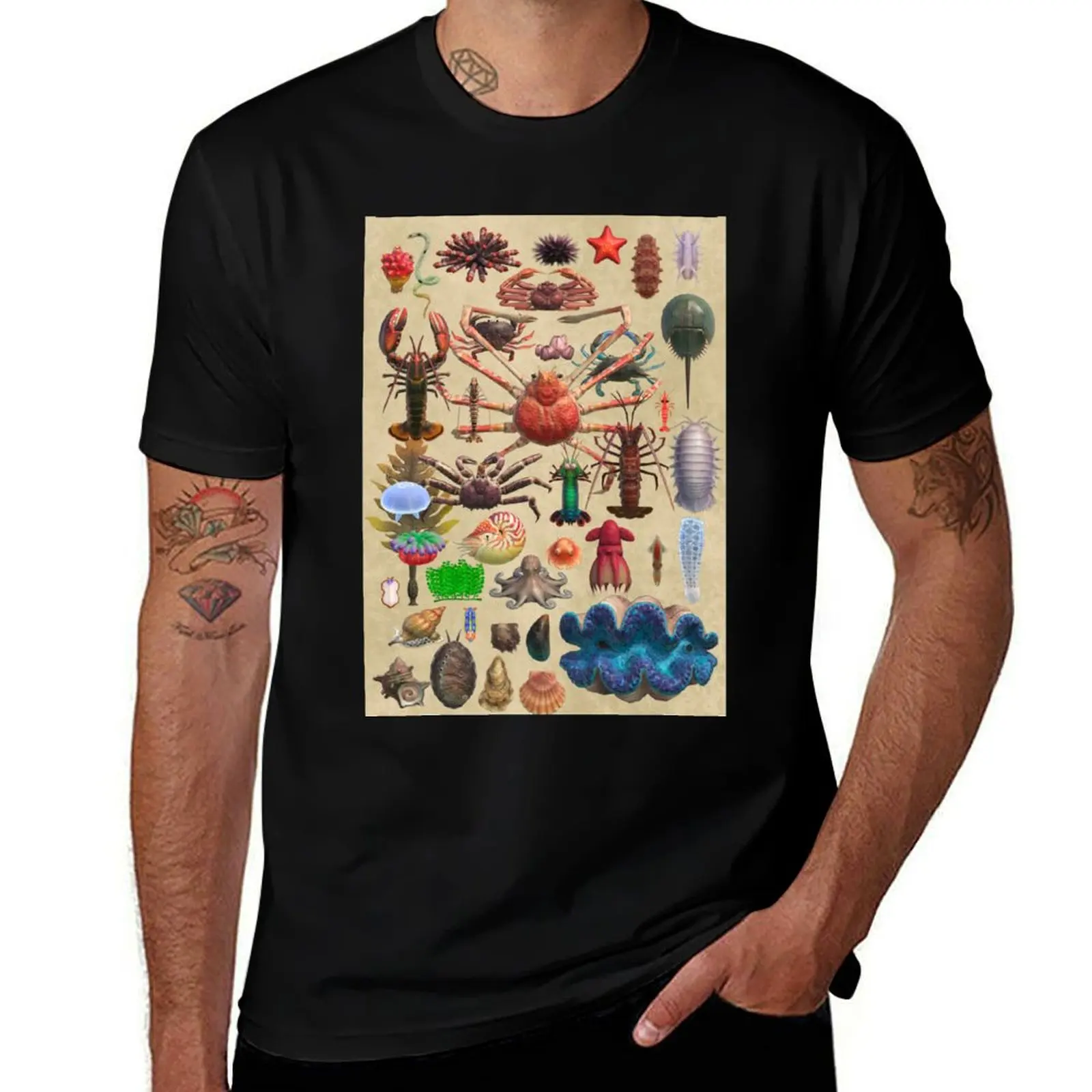 Island Museum Sea Creature Exhibit T-Shirt t shirts with prints T-Shirt