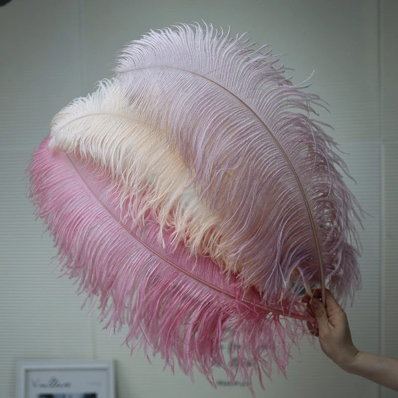 60-65cm Colorful Ostrich Feathers for Crafts Wedding Decoration Handicraft Accessories Table Centerpieces Carnival Plumas Decor
