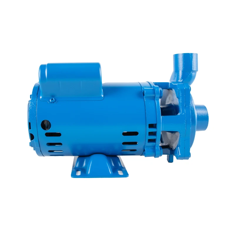 4-pole 2 Poles Swimming Pool Pump  1.5KW Horizontal High Flow Centrifugal Pump Electric Single Phase Induction High