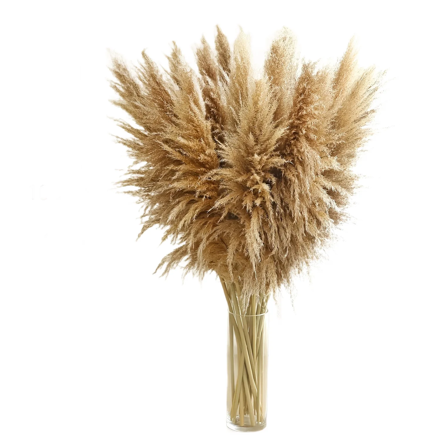 LH1 natural dried pampas reed bouquet 100cm decorative ornament wedding photography props