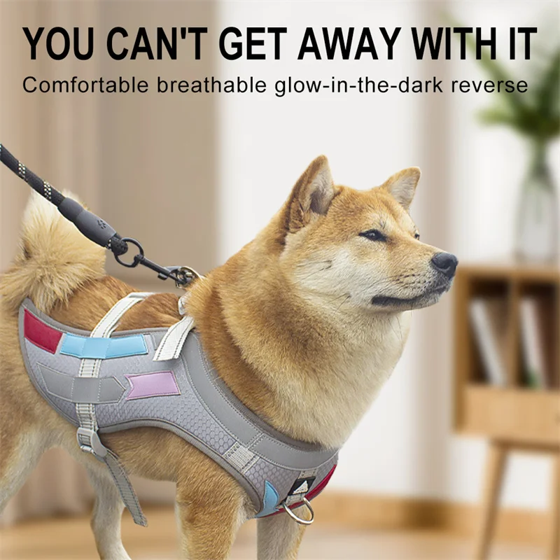 Reflective Dog Harness Breathable Adjustable Dog Accessories For Small Large Dogs Outdoor Walking Wing Design Cool Pet Supplies