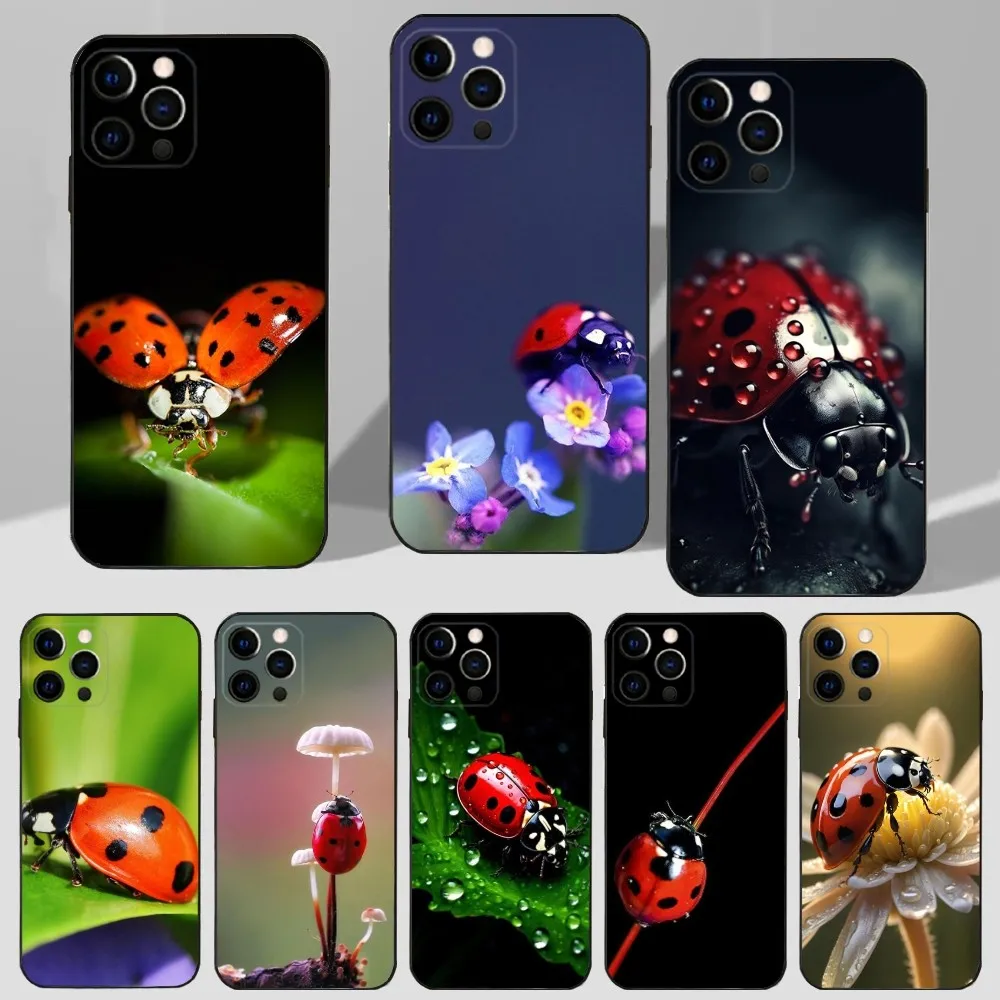 Insect Ladybug Phone Case For iPhone 16,15,14,13,12,11 Plus,Pro Max,XS,X,XR,SE,Mini,8,7 Soft Silicone Black Cover