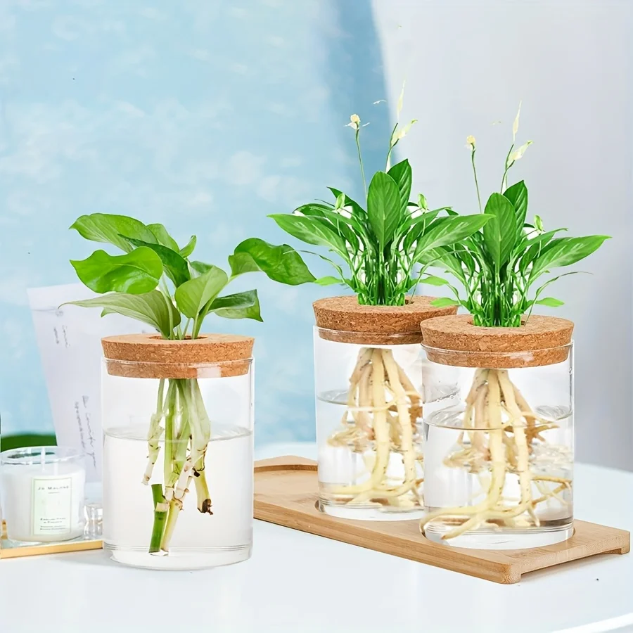 3 Pcs Acrylic Vase with Bamboo Tray Plant Home Decoration Terrarium Propagation Stations, Tabletop Water Planting, Clear Jars