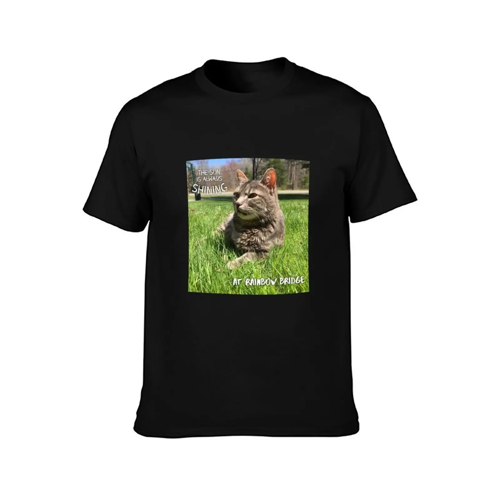 Sun Is Always Shining T-Shirt, Summer Casual Cotton Tee, Oversized Streetwear Tops, Vintage Graphic Print, Unisex Men Women
