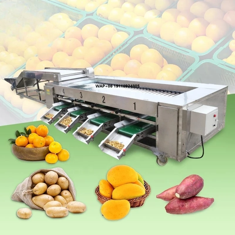 Fruit Size Avocado Potato Tomato Orange Sorting Grading Wash Sorter Grader and Clean Machine for Roller