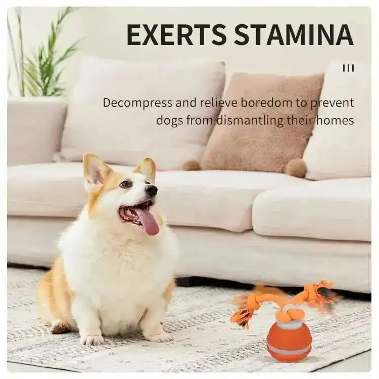 Thumbnail 3 - #17 Puppy Rope Toys Discount Picks