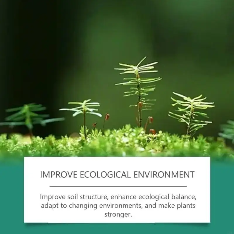 Plant Growth Fertil… - image