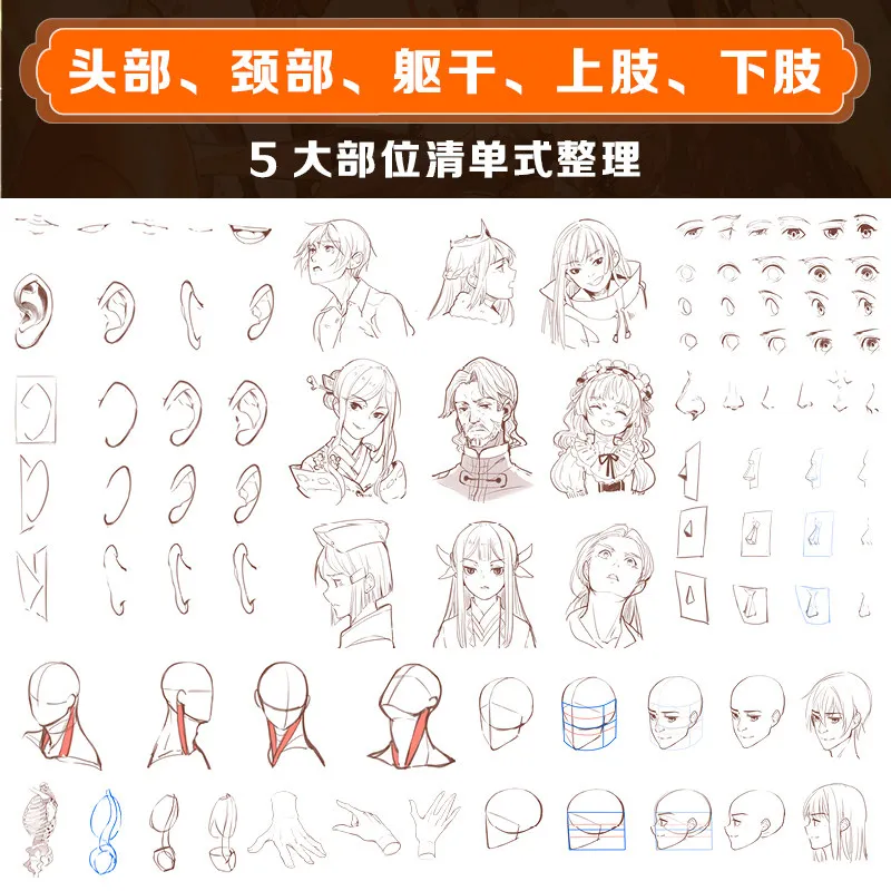Deconstruct Human Body Anime Character Drawing Tutorial Book Body Structure Sketch Guide With Bonus Poster Postcards