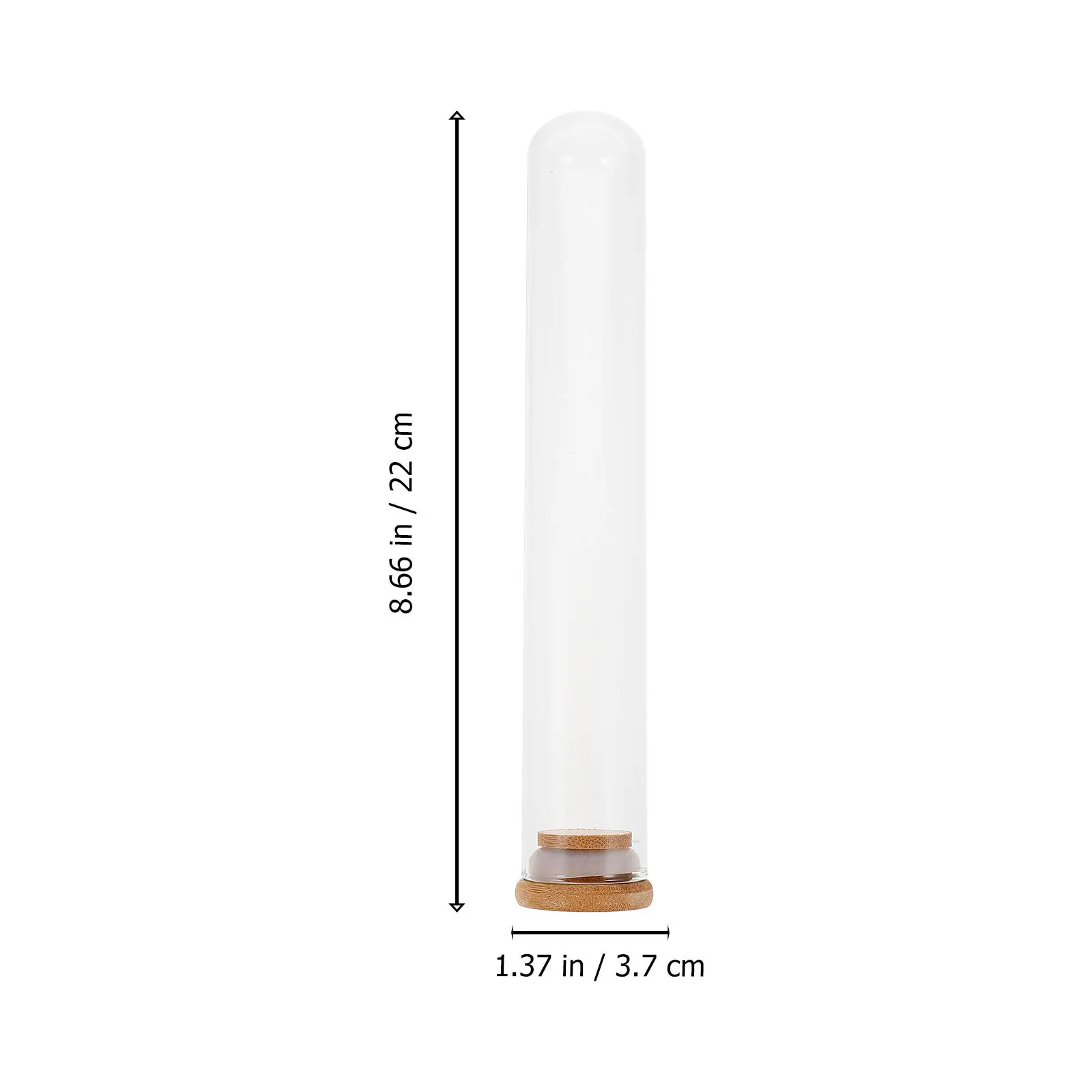 2Pcs High Quality Glass Tube Covers Clear Flower Landscape Decor Preserved Flower Display Stable Base Decorative Glass Cover