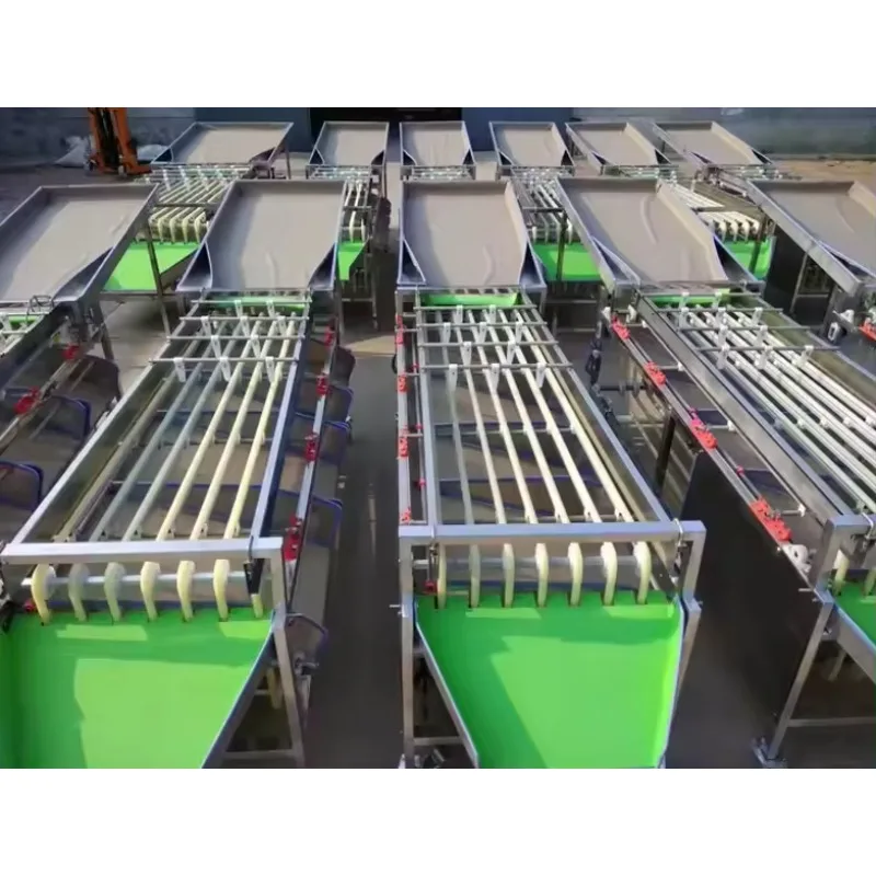 Grading Adjustable Fruit Sorter Machine for Different Fruit  Mandarin Orange Sorting Machine