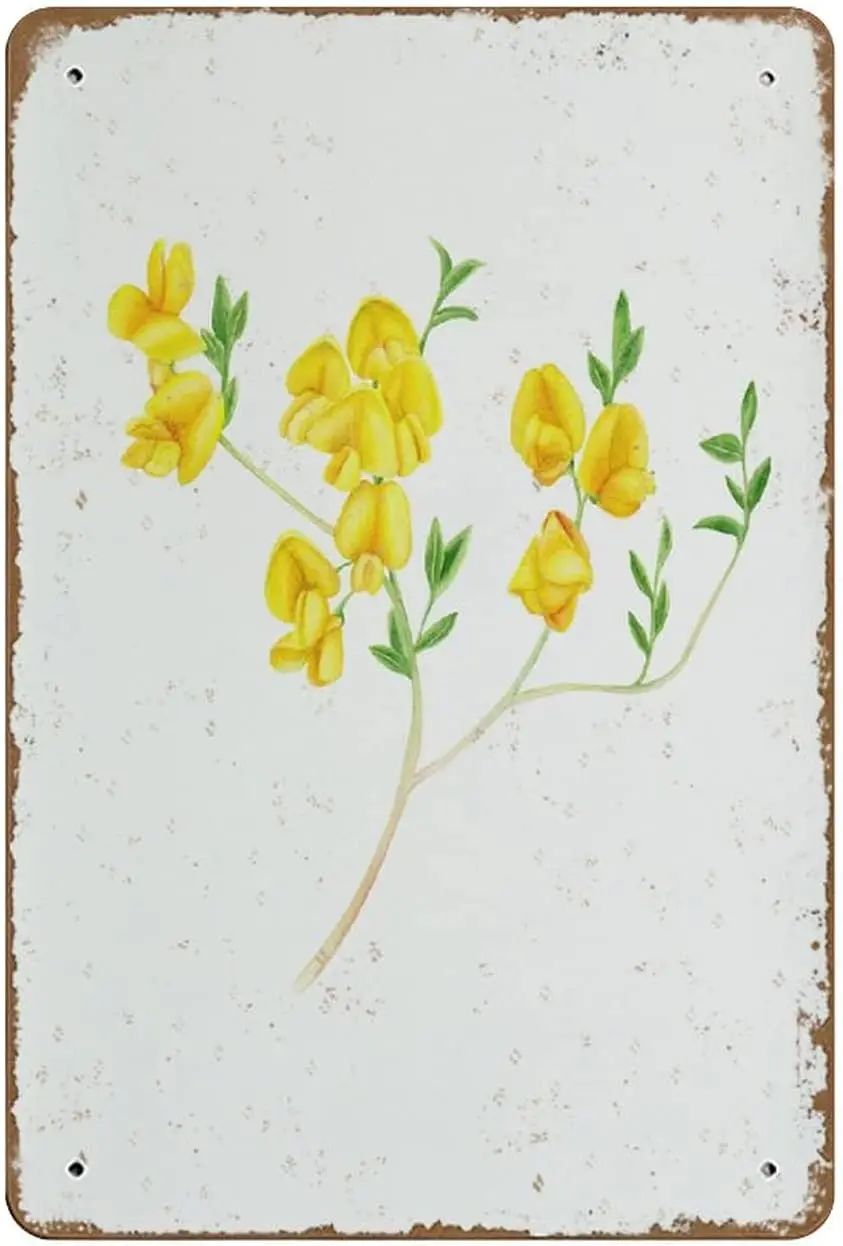 Genista Furze-Póster artístico de pared imprimible con impresión botánica, sala de estar, flores, plantas, acuarela, flor silvestre amarilla, pintura Floral