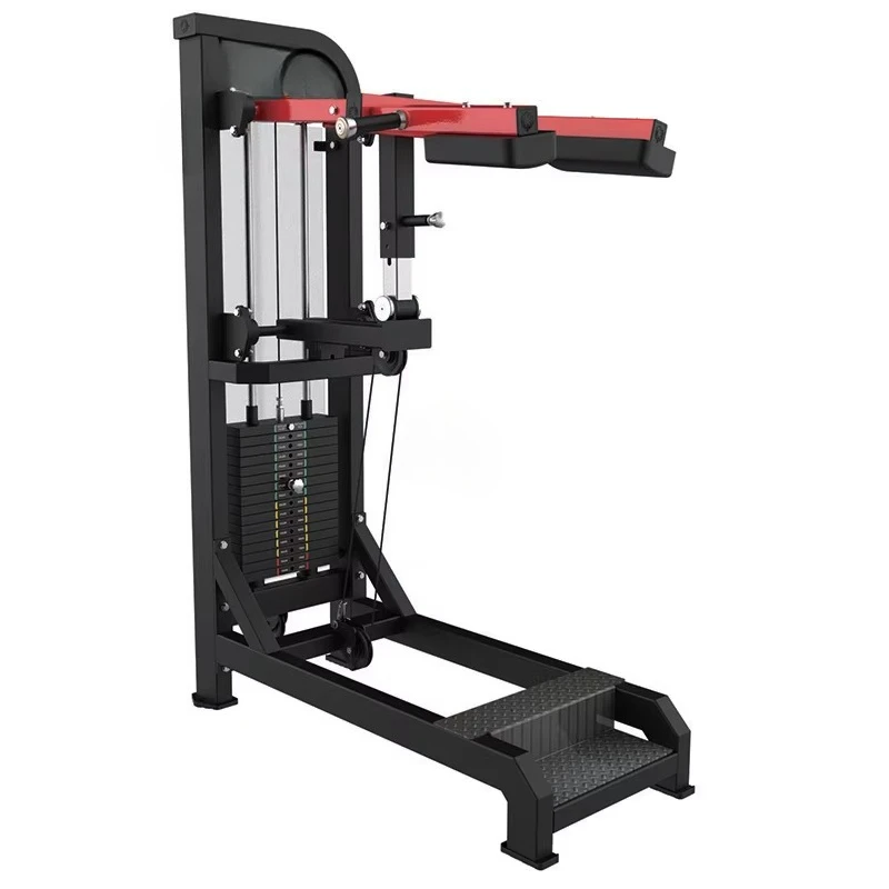 New Materials High Quality Commercial Gym Materials Strength Training Back and Abdominal Combination Fitness Equipment