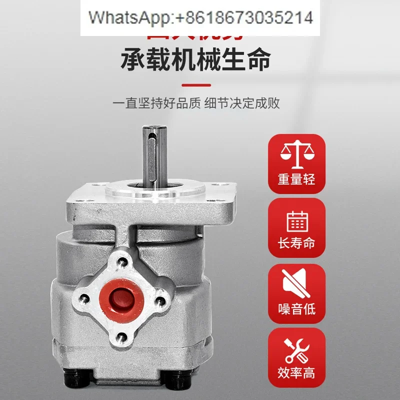 

Hydraulic gear pump GPY-F3R 4R 5.8R 8R 9R 10R 11.5R low noise quantitative high pressure oil pump