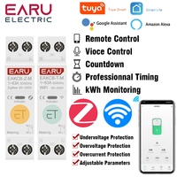 Tuya WiFi Zigbee Smart Circuit Breaker MCB 1P+N 63A Power Energy kWh Voltage Current Meter Protector Voice Remote Control Switch