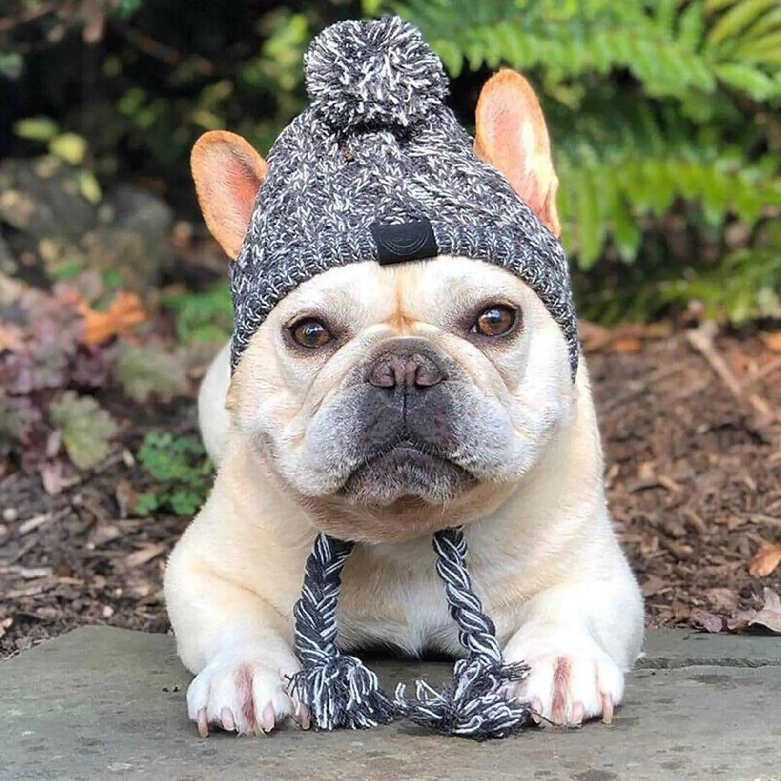 Chapéu de buldogue francês de malha para cães, bola fofa, chapéu pet quente, chihuahua, acessórios para cachorros, inverno