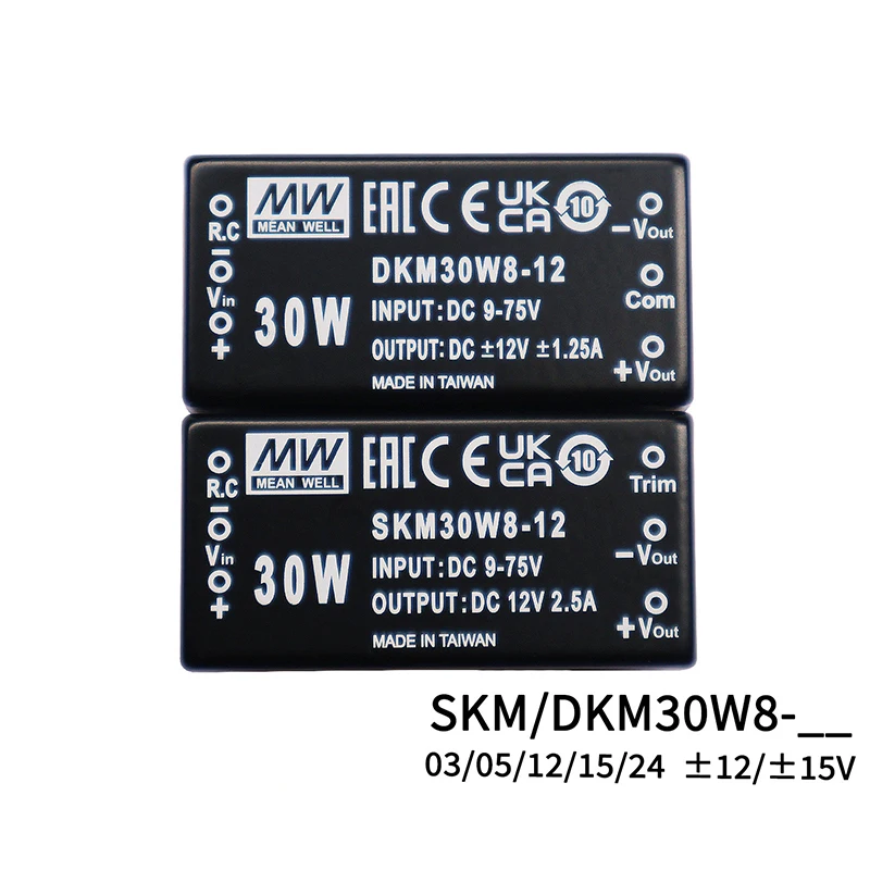 MEAN WELL Switching Power Module 30W 2