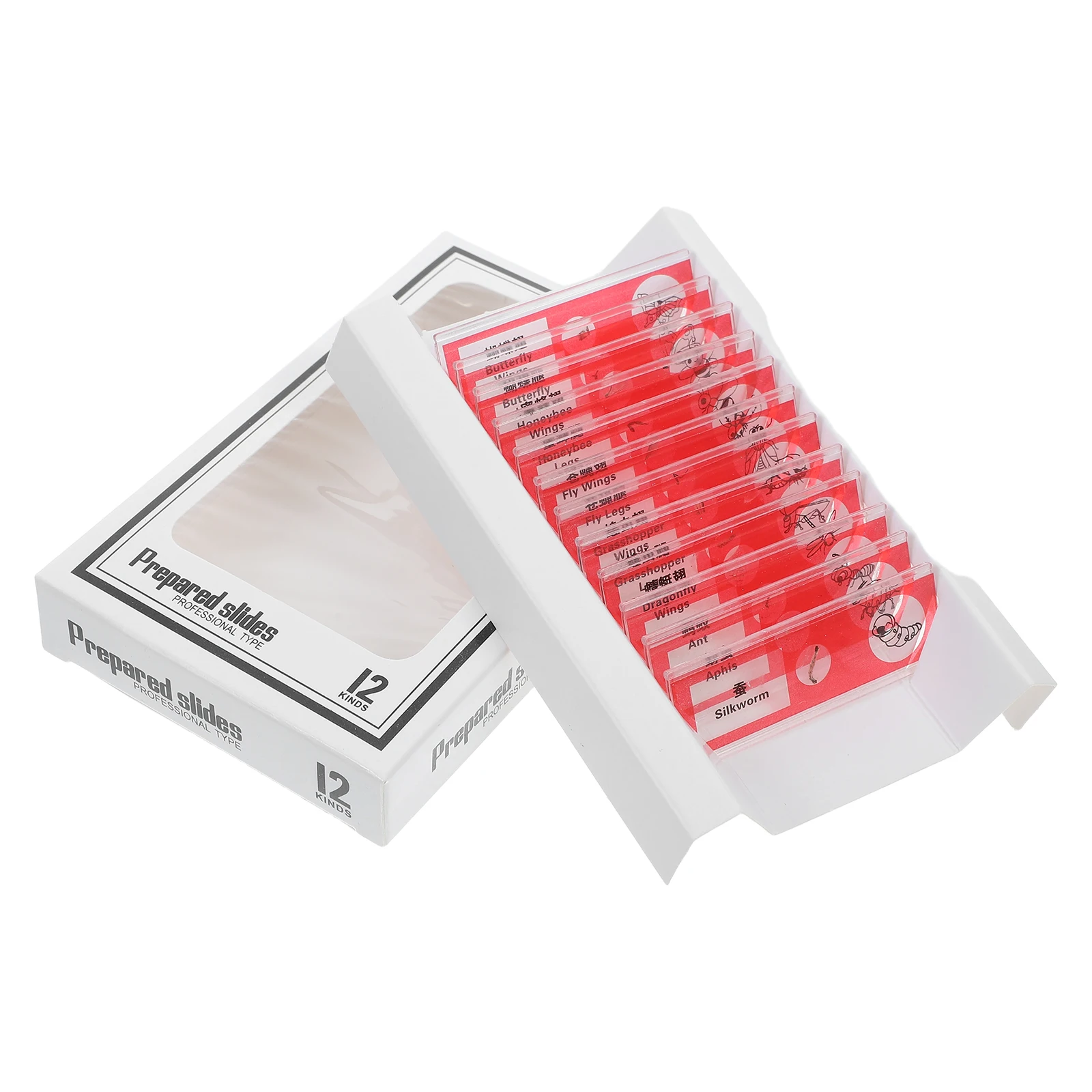 

12 Pcs Biological Sample Sections Animal Slide Assortment Sampler Insects Cells Samples Microscope Slides Blood Biology Animals