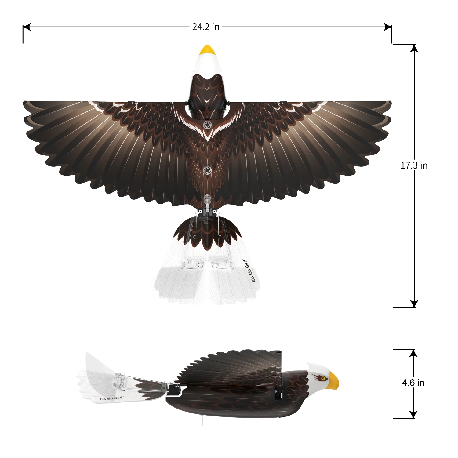 Go Go Bird Eagle Wings and Tail Accessories Peacock Wings