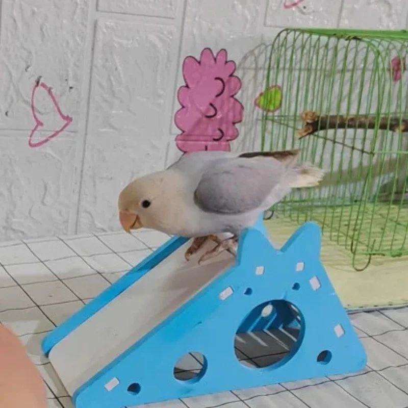 

Золотой хомяк, горка для хомяков, украшения в клетку, безопасные материалы, 5 штук, развлекательный реквизит, маленькие игрушки для домашних животных