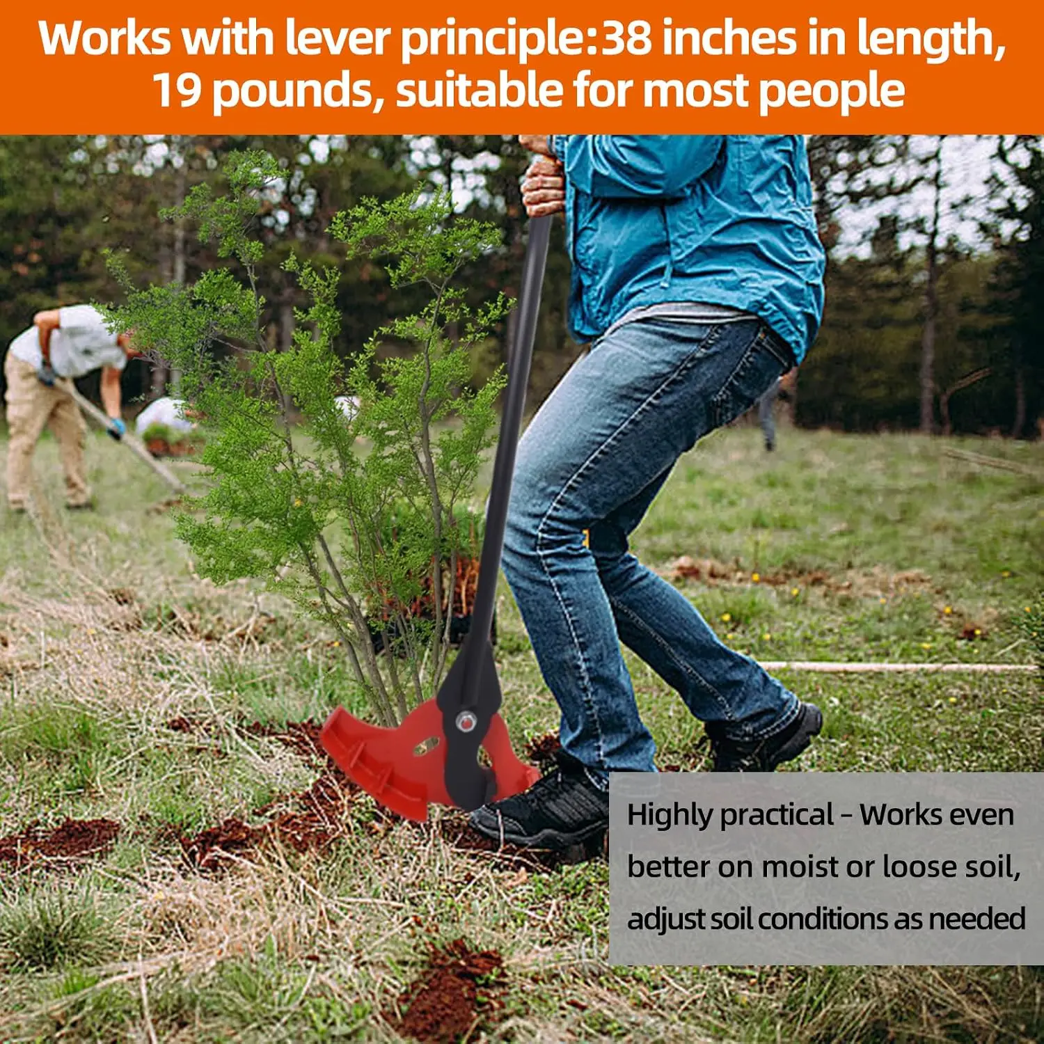 Manual Weeder Medium Size Puller For Tree Roots Shrubs Weeds Lever Type Root Puller Weed Extraction Fits Small Roots Labor Saving Weed Remover Tool Heavy Duty Outdoor Lawn Garden Yard, Black