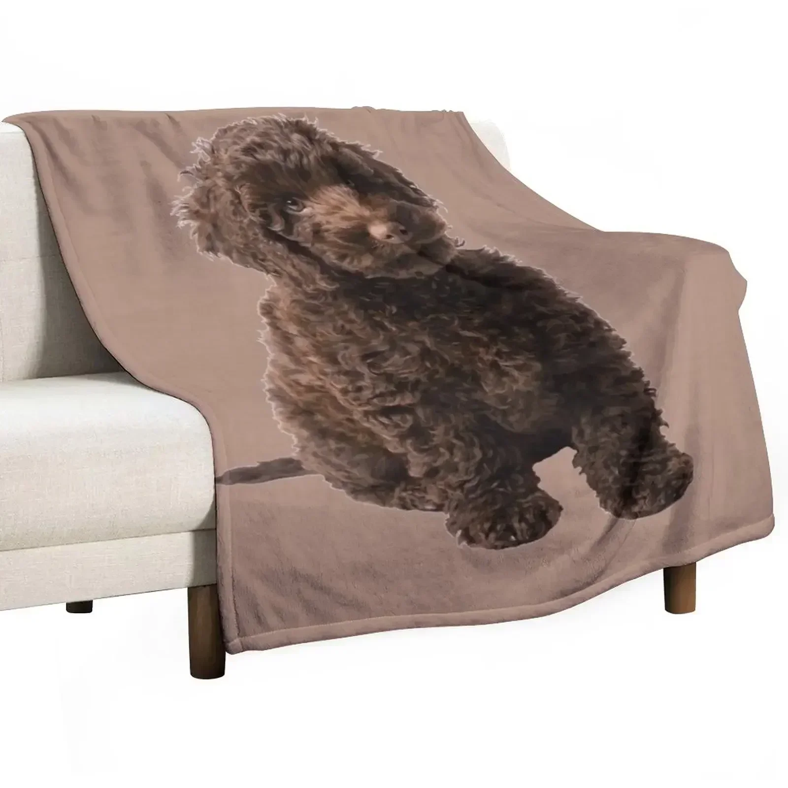 Labradoodle Throw Blanket Beach Travel Blankets For Sofas Hairys Sofa Throw Blankets Sofas Of Decoration Blankets