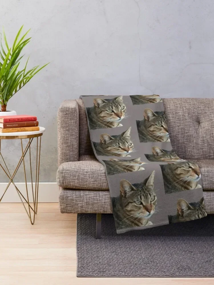 Stunning Tabby Cat Close Up Portrait Vector Isolated Throw Blanket Luxury Designer Luxury St Blankets