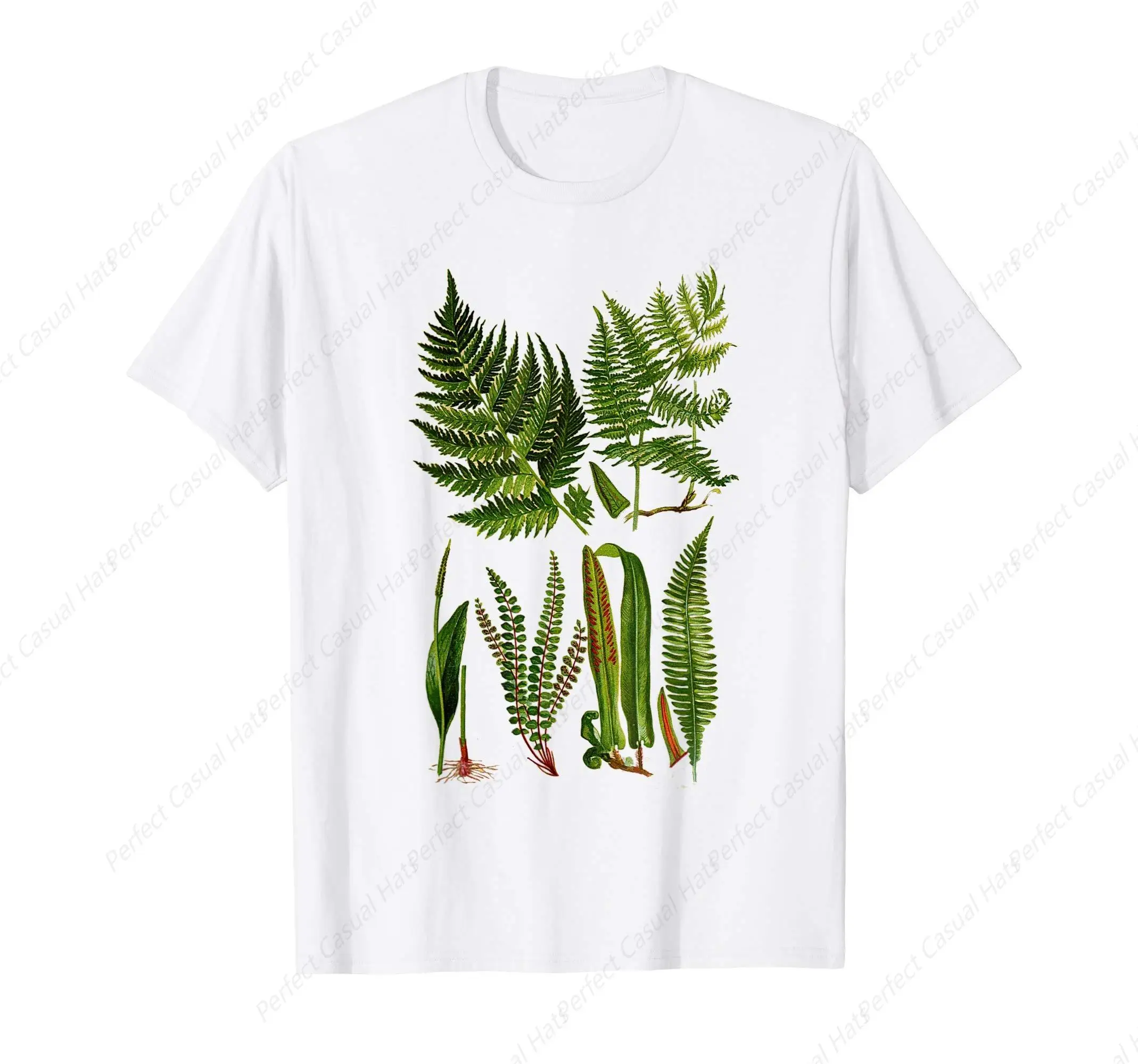 Fern Botanical Plant Botany New Zealand Fern  Plant Print T-Shirt Men Women Comfort Round Neck Cotton Tops