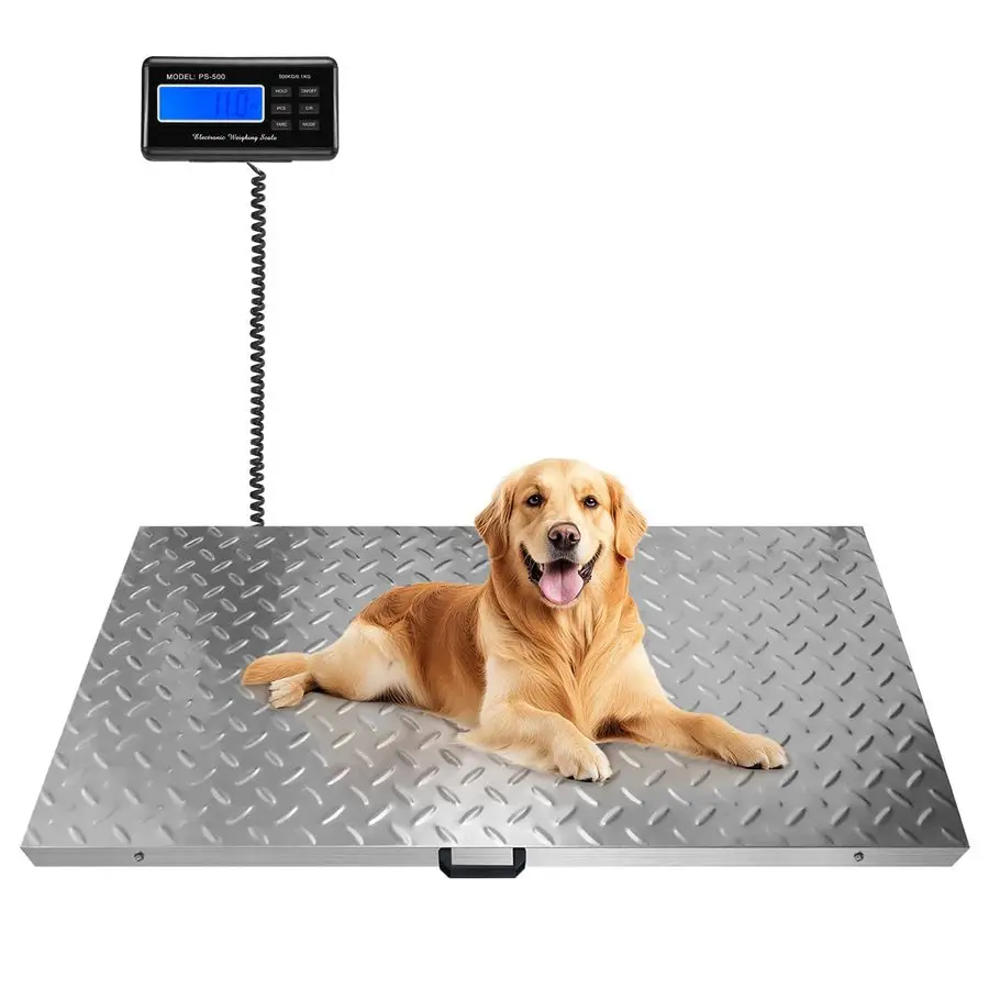 Scales For Large Br…