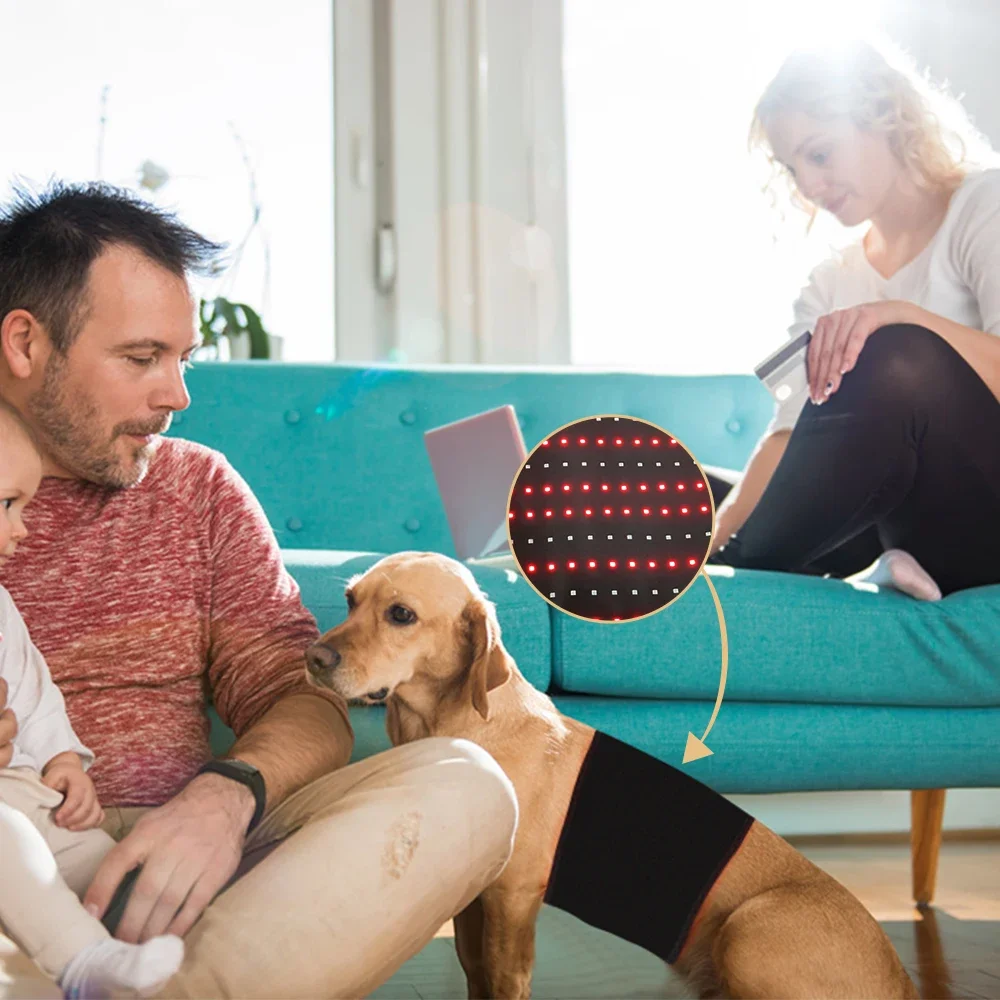 

Animal Horse Pet Use Pulsed LED Therapy Pad 660nm 850nm Red Infrared Belt Affordable Led Therapy Light