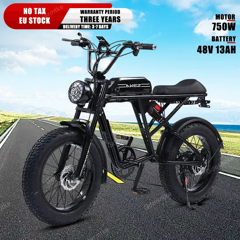 E Bike 750W Powerful Motor 48V13AH Battery Retro Motorcycle Electric Bicycle Adult Mountain 20*4.0 Inch Fat Tire Electric Bike