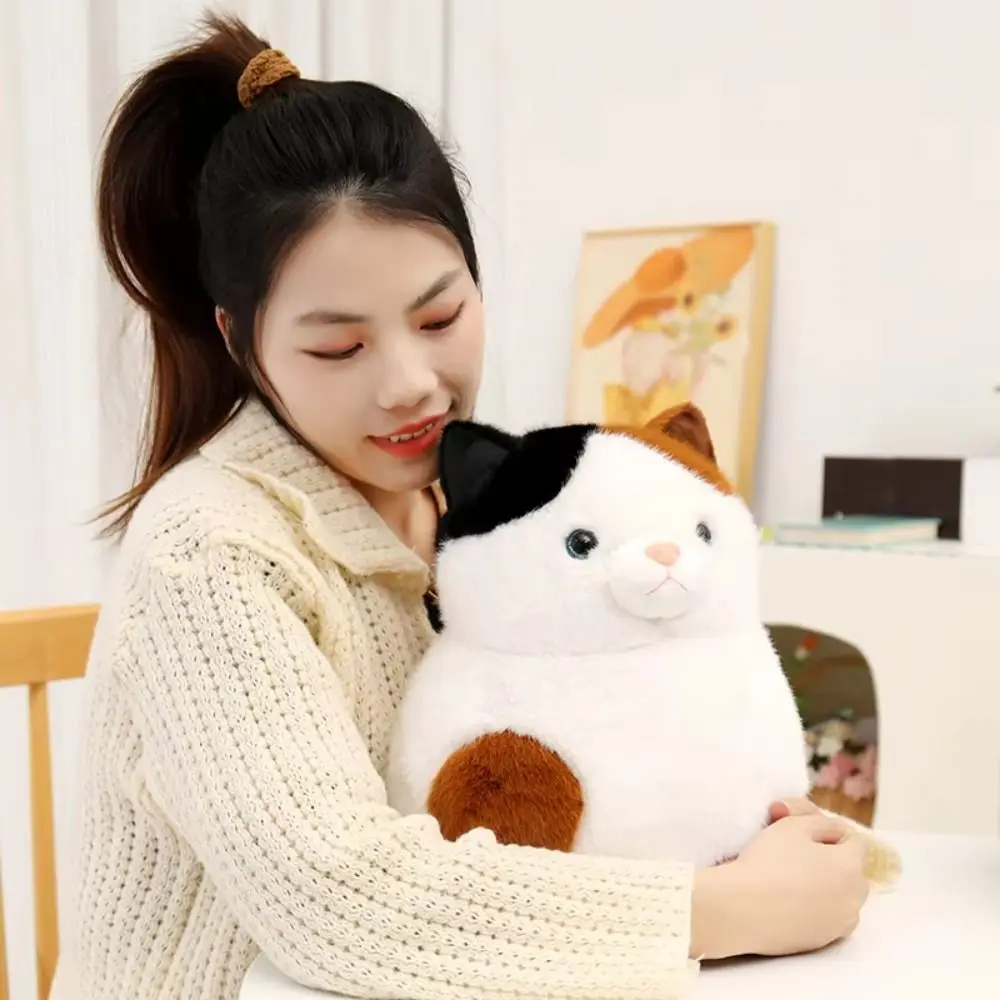 

Плюшевая подушка, мультяшное животное, кошка, плюшевая кукла, аниме-фильм, мягкая кошка, плюшевые игрушки, милые креативные периферийные устройства в стиле аниме, куклы, фанаты