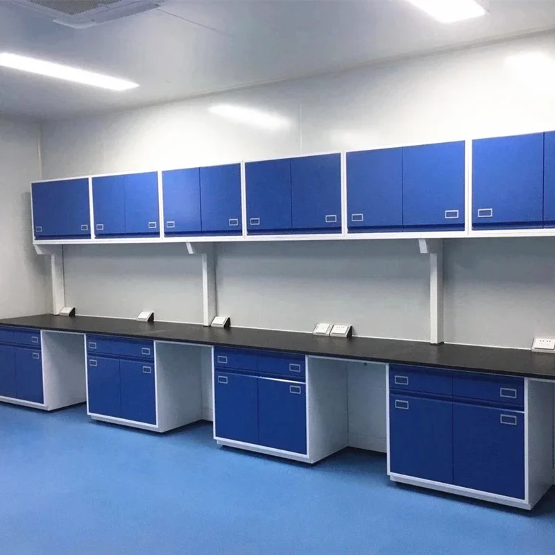 

Laboratory Wall Bench ISO Steel Side Table With Casework Side Workbench Chemical Resistant And Customizable Manufacturer