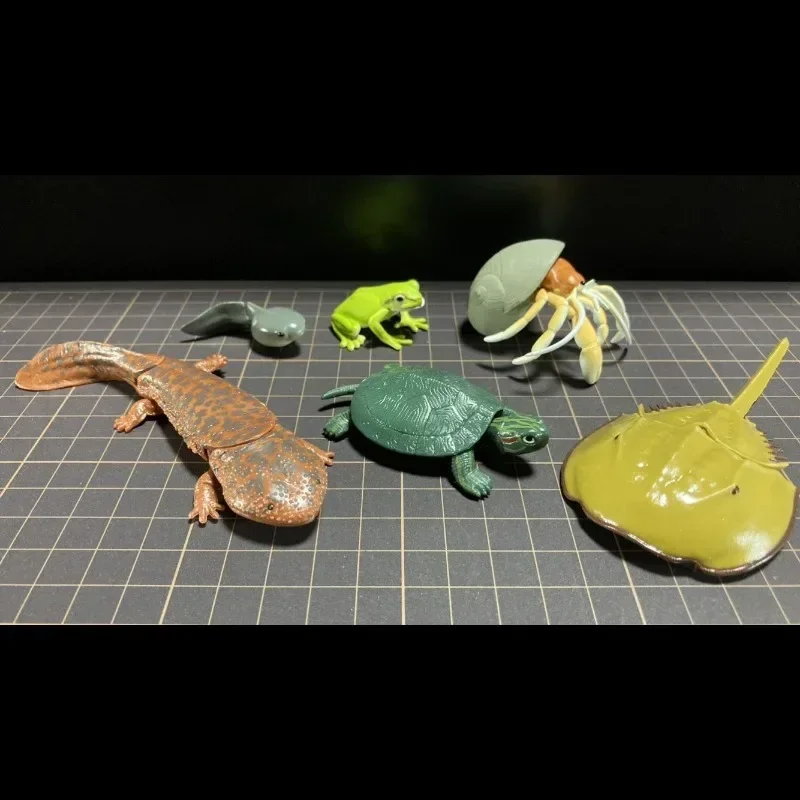 Original Gashapon Figure Anime Cute Waterside Organism Lobster Tortoise Hermit Crab Kawaii Figurine Gacha Capsule Toys Gift