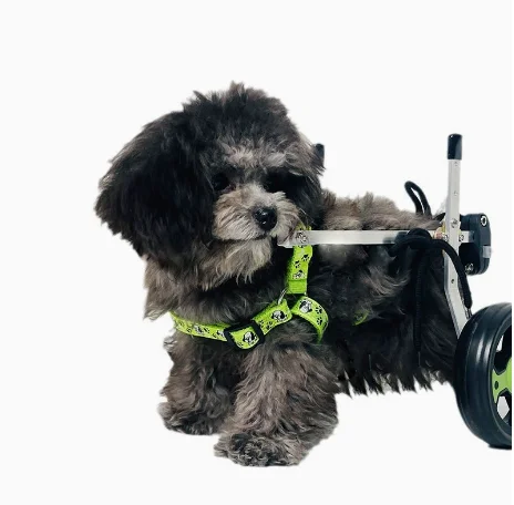 

Dog wheelchair hind leg disabled car elderly dog scooter pet cat Teddy hind limb paralysis four-wheel assist moped