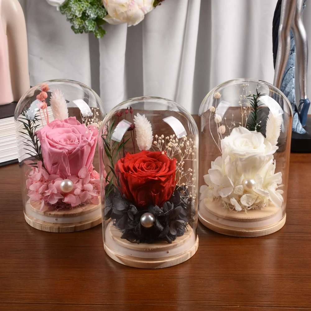 Preserved Rose Birthday Gifts for Women Mom Wife Eternal Flowers in Glass Dome Romantic Gift for Anniversary Valentine's Day