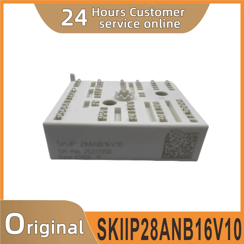 

SKIIP28ANB16V10 Original Module