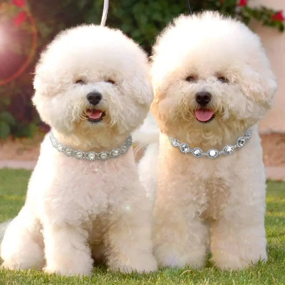 Bling Rhinestone Dog Necklace Jewelry Luxury Designer Gemstone Princess Dog Cat Wedding Collar for Small Medium Dogs Puppy