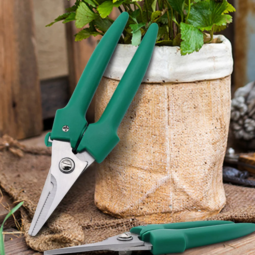 مقصات تشذيب من الفولاذ المقاوم للصدأ أداة حديقة مقبض مريح مانع للانزلاق مقص تشذيب زنبركي حاد ومتين #1