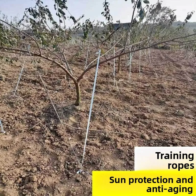 特殊な木の枝を引き付けるロープ生地ストリップ、果樹園の木固定用吊り枝ロープ、木を結ぶコード