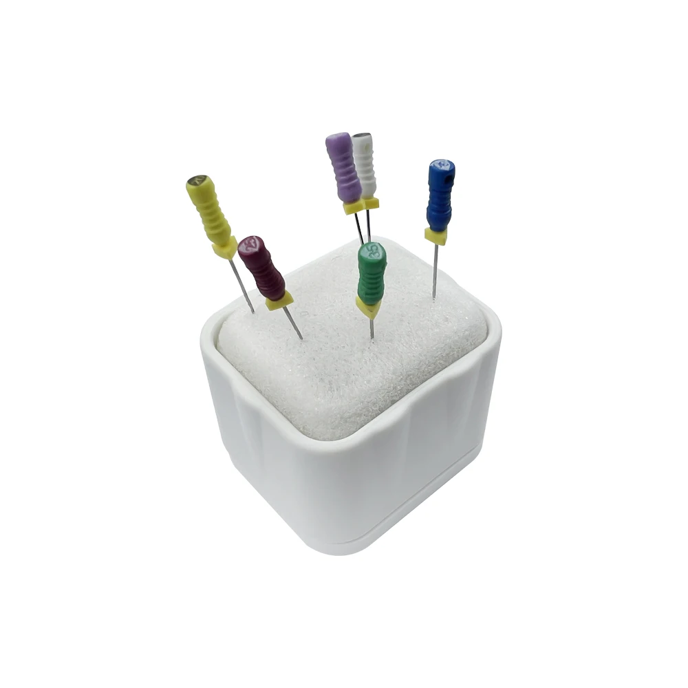 Support de lime endodontique dentaire autoclavable, support de nuit propre, livres de canal radiculaire, outil avec éponge, dents de dentiste