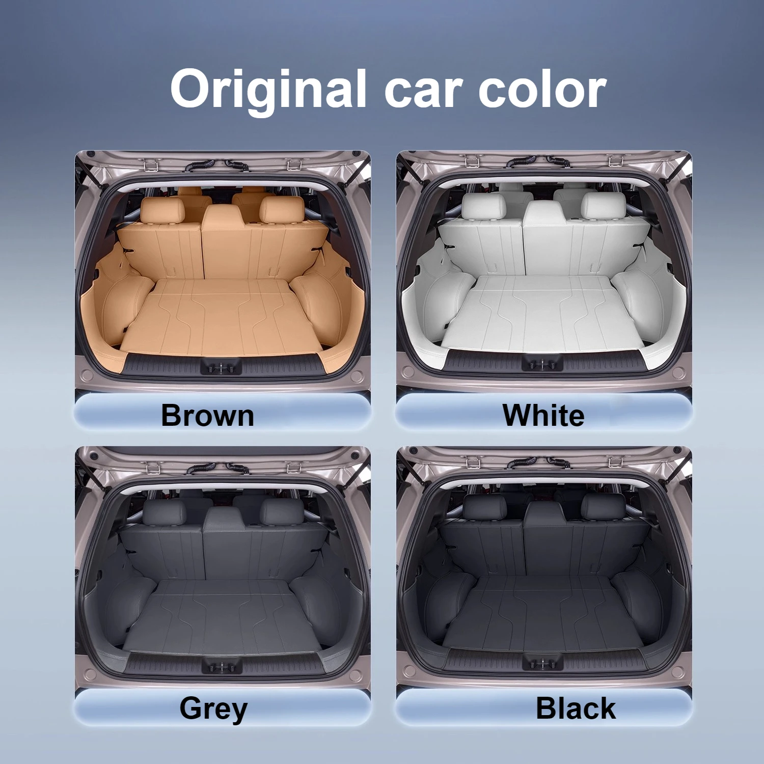 ل Aion i60 2026 التغطية الكاملة فرش داخلي للسيارات والشاحنات الجلدية مقاوم للماء الأوساخ مقاومة الخلفي فرش داخلي تعديل الملحقات #2