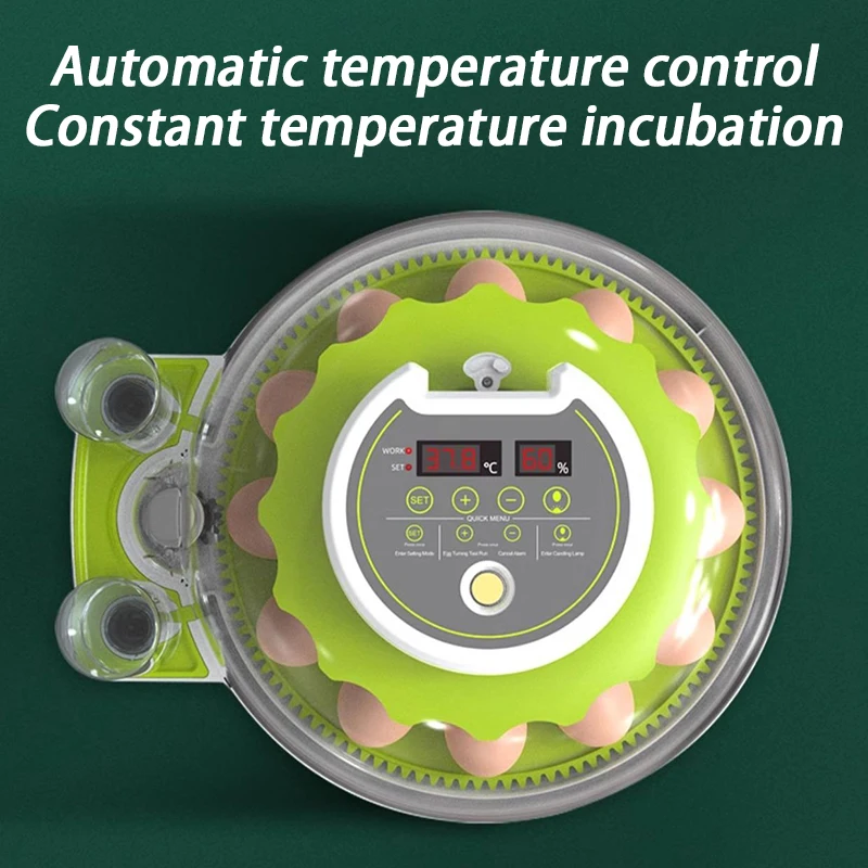 Fully Automatic Chicken Hatcher Parrot Bird Eggs Poultry Incubator Birds Temperature Control Hatcher Egg Farm Animal Supplies