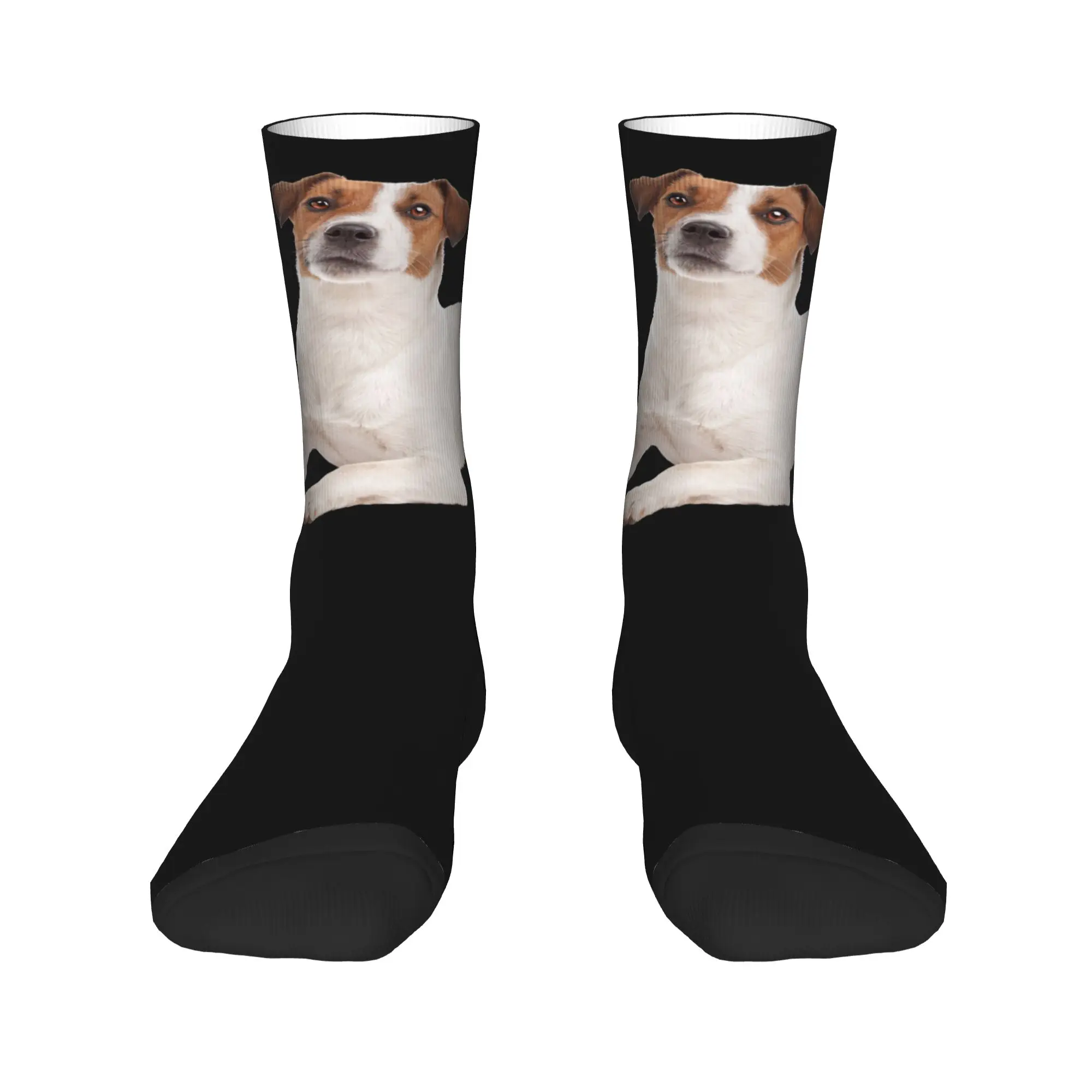 Custom Jack Russell Terrier Dog Mens Crew Socks Unisex Funny 3D Printing  Dress Socks view 2