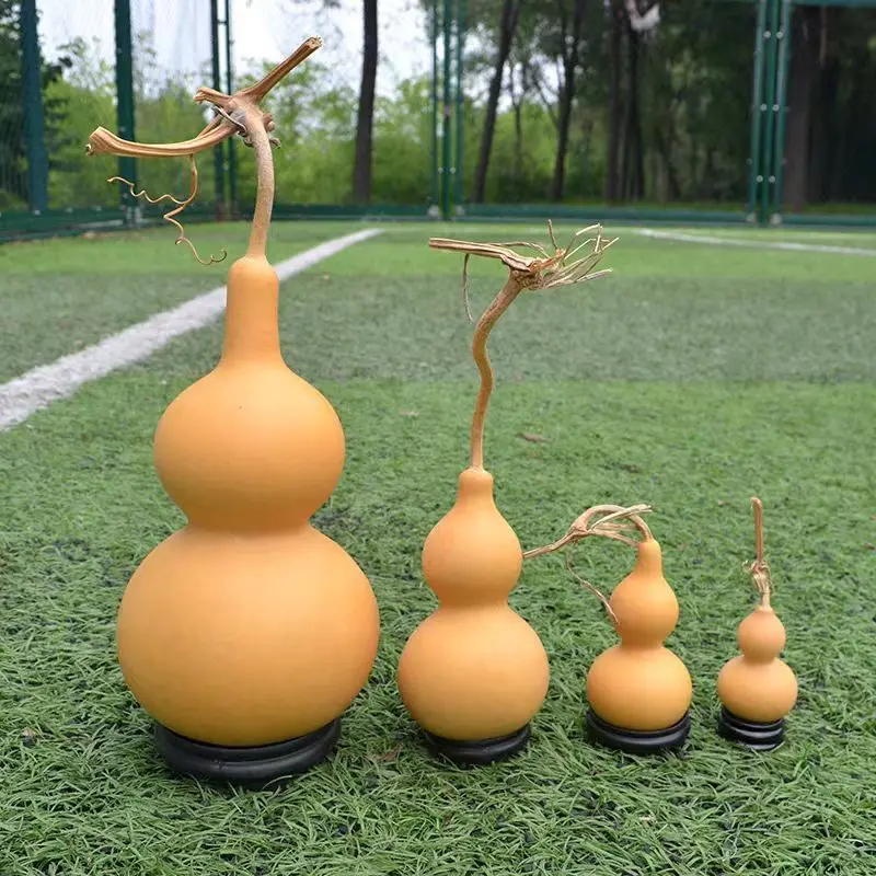 Natural Gourd Various Sizes Living Room Blessing Wealth Feng Shui Ornament Dragon Head Decoration Home Protection