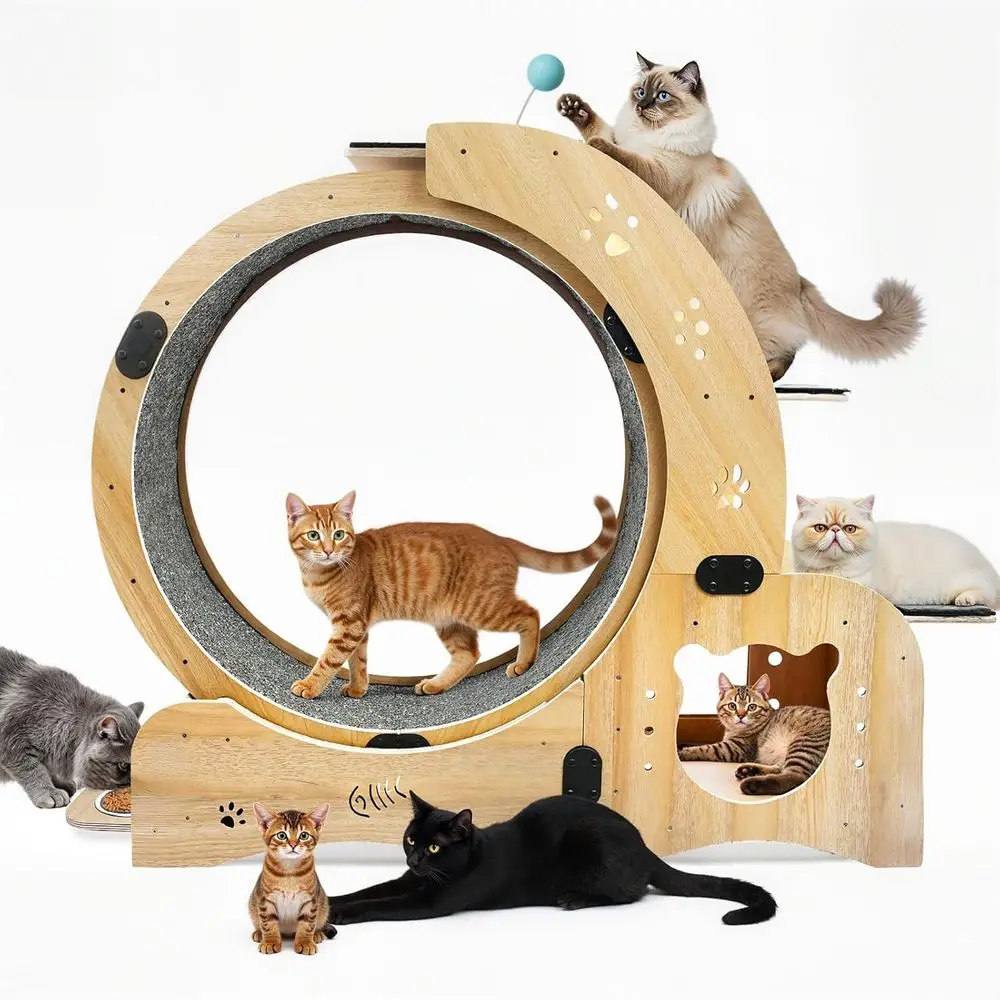 

cat Wheel, 6-in-1 cat Wheels or Indoor Cats, Scratching Board, Detachable mat, Clime, nest & Toys, Multi-functional Indoor Pet A