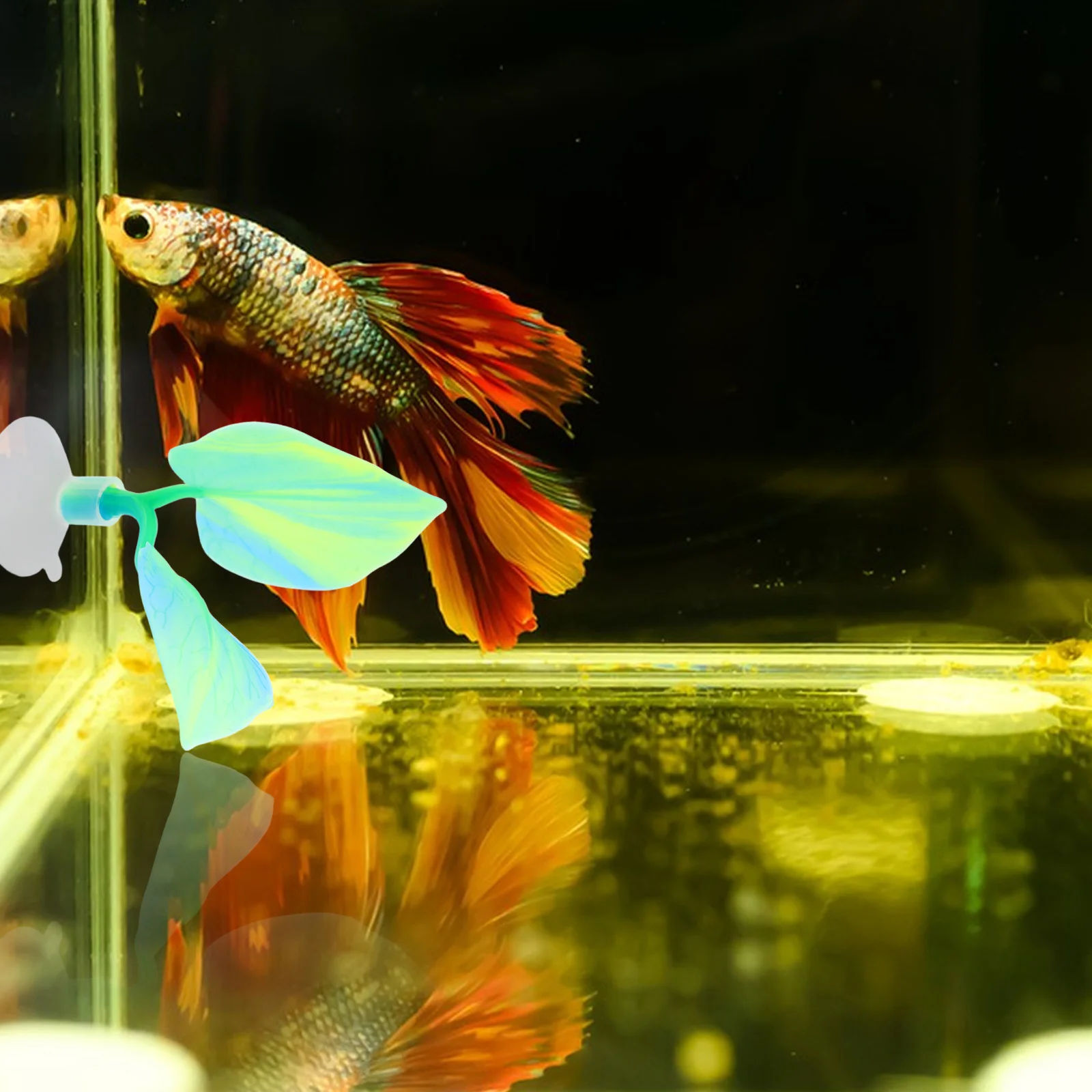 

Double Layer Betta Resting Bed Soft Silicone Aquarium Decor for Sleeping Hiding Breeding Spawning Fish Tank Accessories Betta