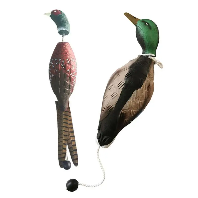 Top Water Fishing L… - image