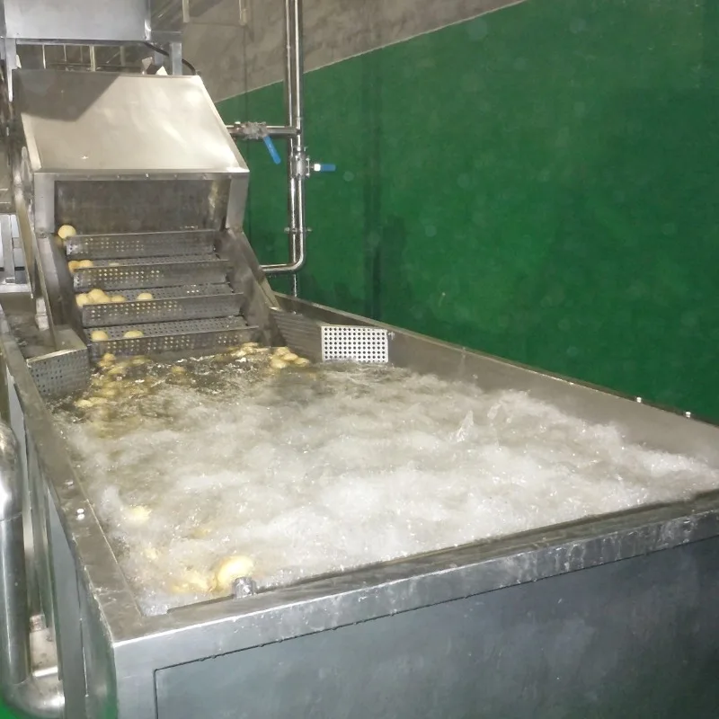 Washing Roller Brush Machine for Fruit Vegetables & Wheat Cleaning Beyond BYFW Model