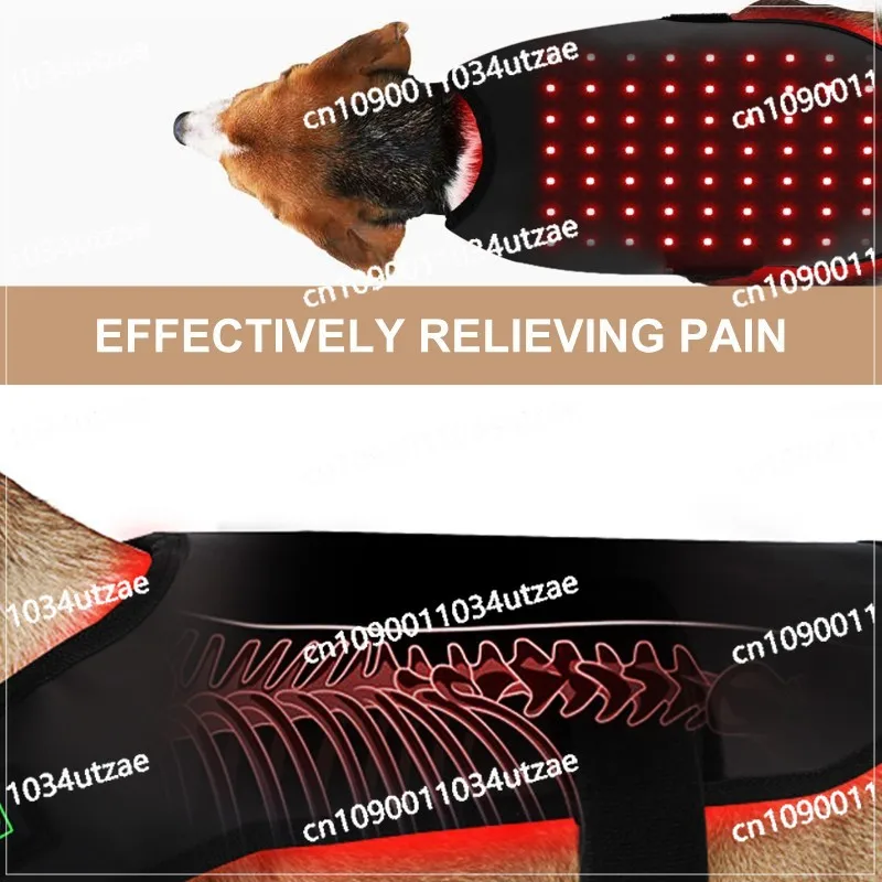 Small Pet Red Light Infrared Physiotherapy Cats and Dogs Back Abdominal Injury Recovery Fracture Healing Home Wireless Portable