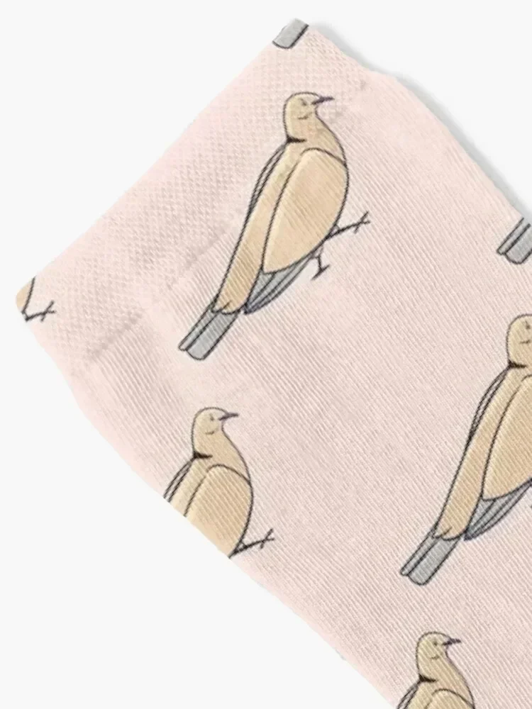 Brown Ring-necked Dove Socks kids cool retro sports and leisure Man Socks Women's